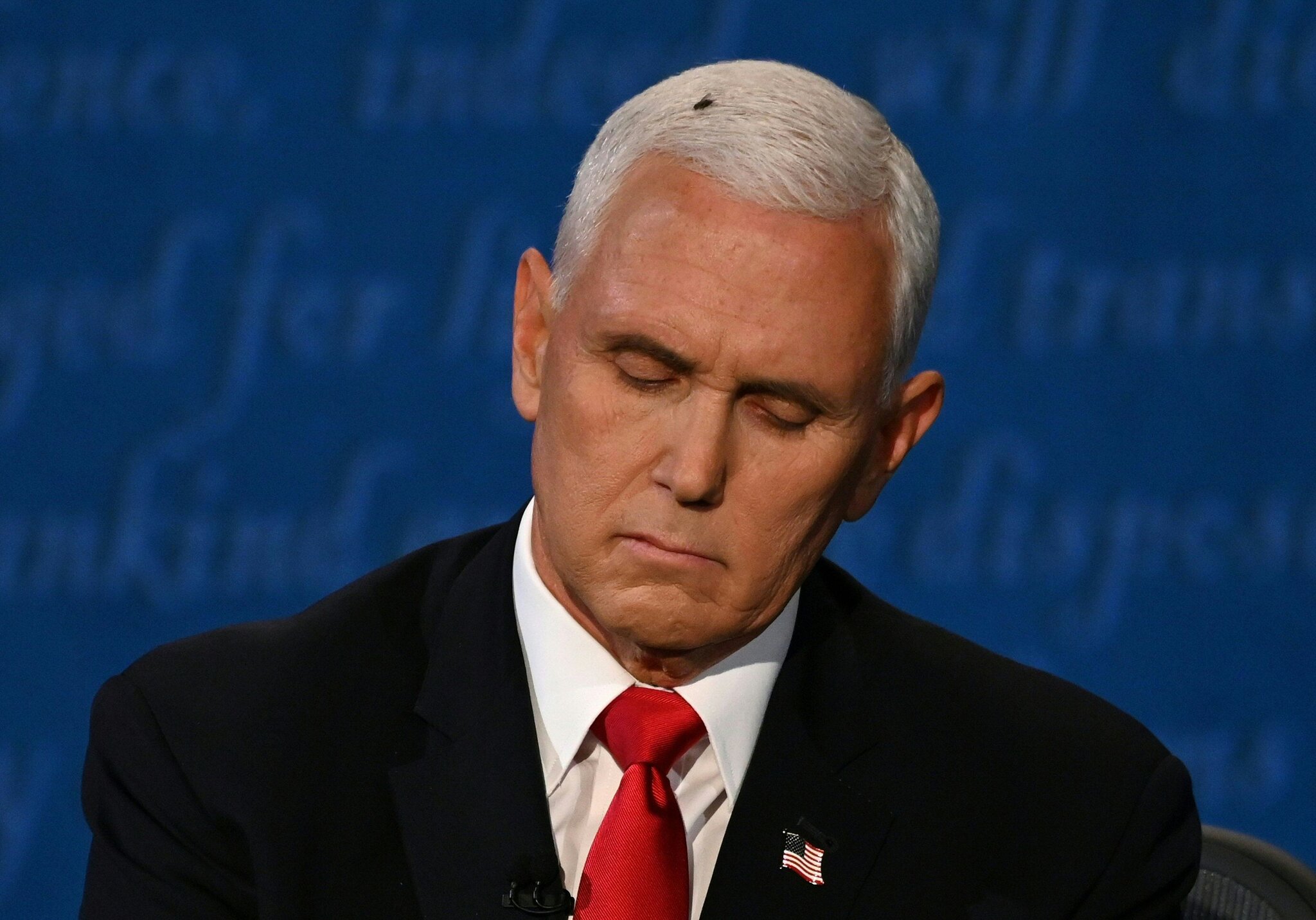 Swatting Away Lies, but Distracting from the Truth: Mike Pence’s Fly Incident