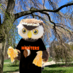 Owl Opportunity: Hooters Summer Externship 
