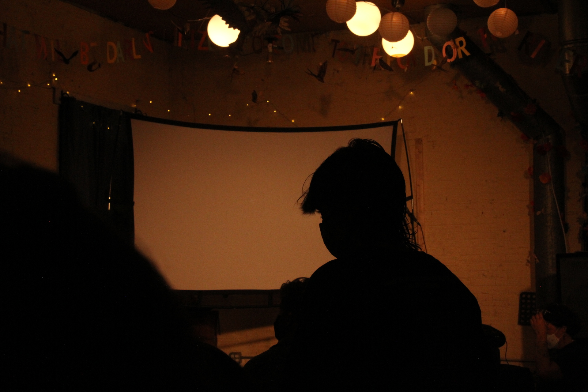 Silhouette at the Philly Puppet Slam.
